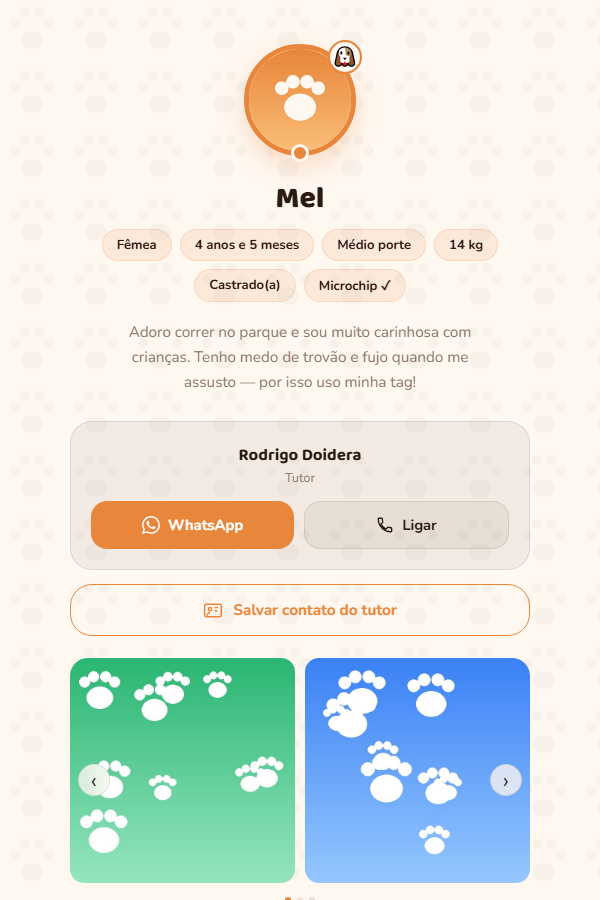 Página do pet Mel no MeuPet ETAP+, modo normal — captura real do sistema